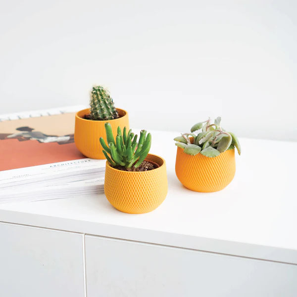 Mini Planter Set