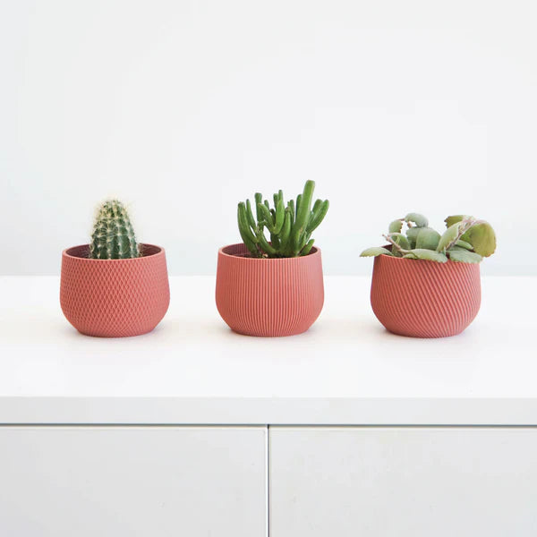 Mini Planter Set